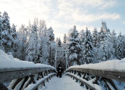 Rovaniemi: Vaattunki Hiking Arctic Circle Trail - Crossing the Arctic Circle on foot (and why it’s better this way)
