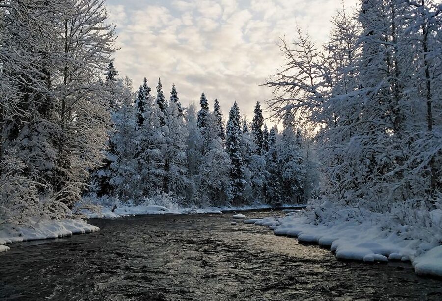 Rovaniemi: Vaattunki Hiking Arctic Circle Trail - Forests and open marshes: a tour of Lapland’s real textures
