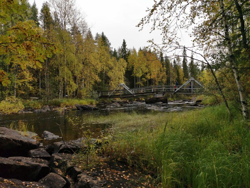 Rovaniemi: Vaattunki Hiking Arctic Circle Trail - Bonfire break: warm snacks, real stories, and a chance to reset