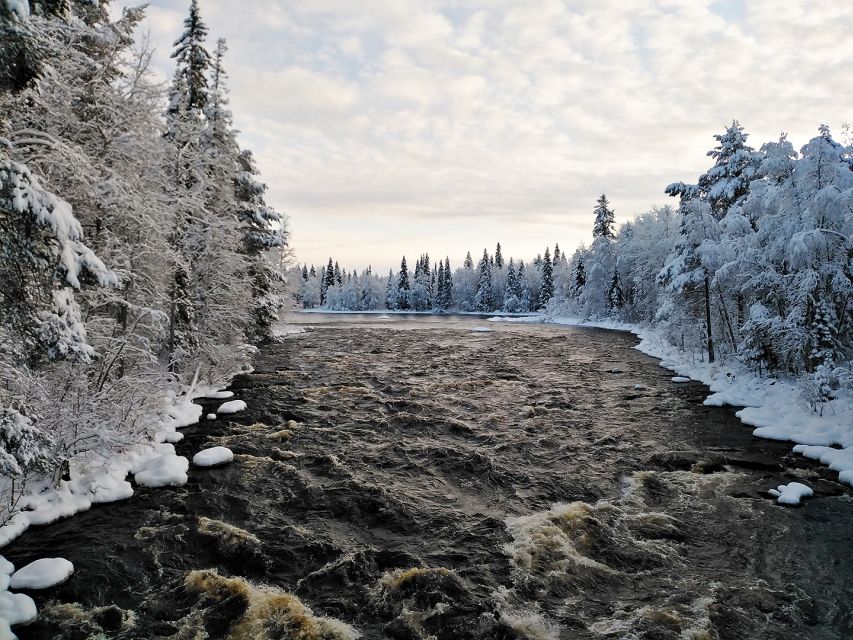 Rovaniemi: Vaattunki Hiking Arctic Circle Trail - Your guide sets the pace: small group energy that stays stress-free