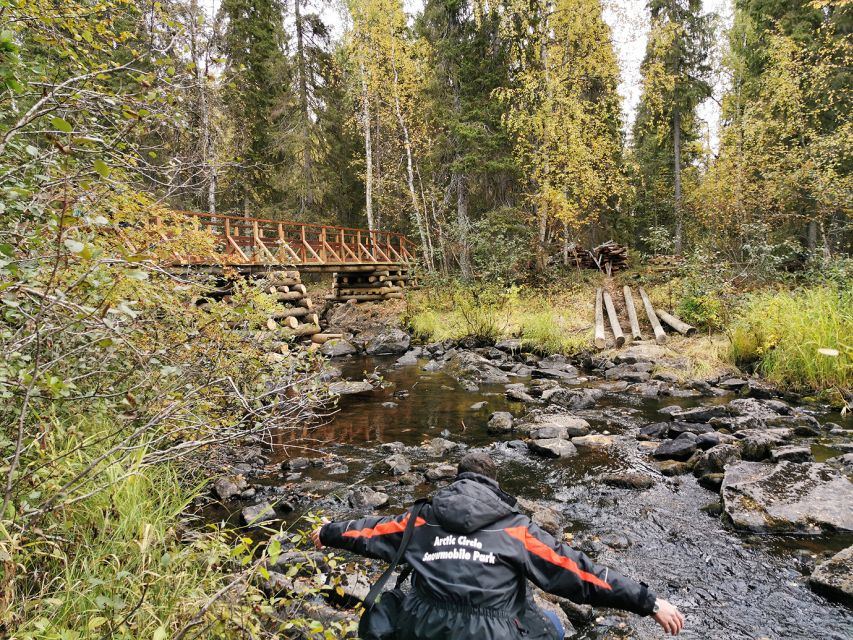 Rovaniemi: Vaattunki Hiking Arctic Circle Trail - Wildlife watching the smart way: look, but don’t force it