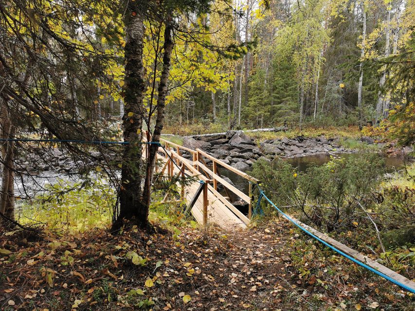 Rovaniemi: Vaattunki Hiking Arctic Circle Trail - Price and value: why $104 can make sense here