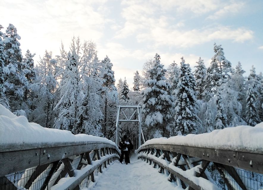 Rovaniemi: Vaattunki Hiking Arctic Circle Trail - Crossing the Arctic Circle on foot (and why it’s better this way)