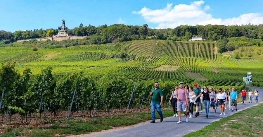 Rüdesheim - Guided wine hikes with 4wines and cable car ride - Cable car ride over the vineyards to Niederwald Monument