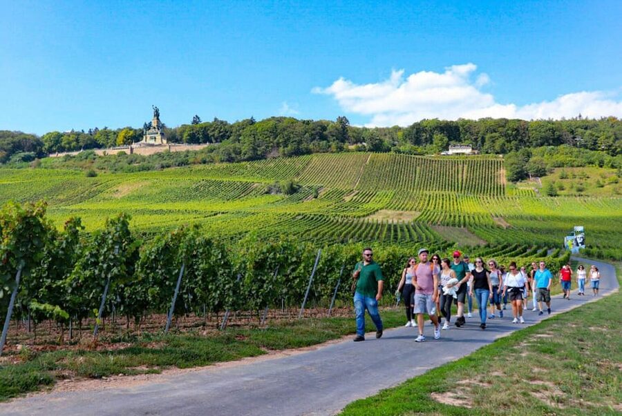 Rüdesheim - Guided wine hikes with 4wines and cable car ride - Weather-proof planning: what happens if it rains