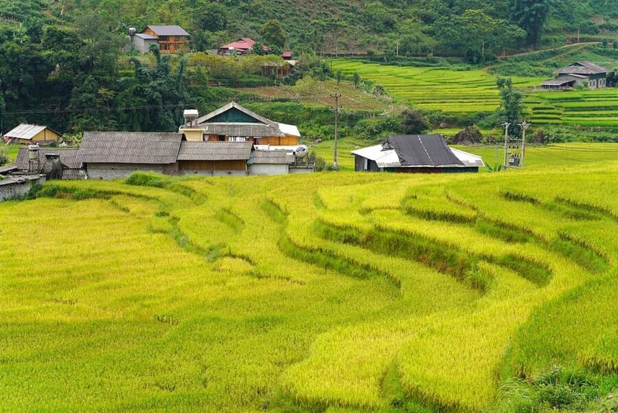 Sa Pa: Half-Day Cat Cat Village Hike to Meet H'mong People - Key points to know before you go