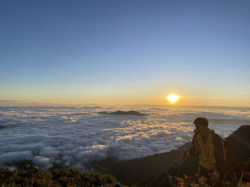 Sa Pa: The Roof of Indochina - Fansipan Hiking Full-Day Trip - The 12 km climb: jungle steps, two altitude milestones, real pacing