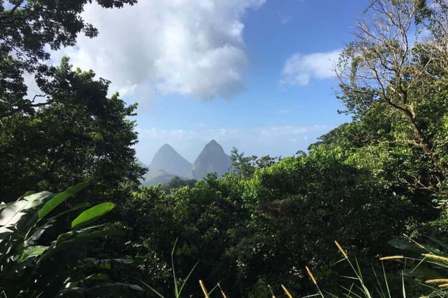 Saint Lucia: Tet Paul Nature Trail Hiking Tour & Beach - The Soufrière Basin Drive: Gorgeous, But Watch Your Stomach