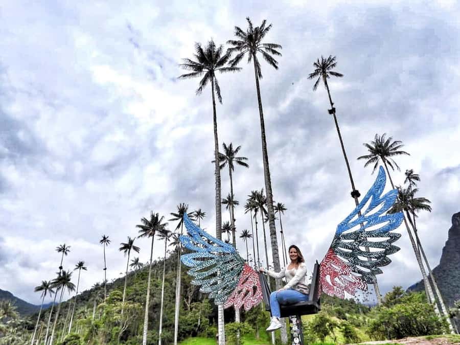 Salento/Pereira: Cocora Valley & Salento Hiking Private Tour - Armenia to Cocora: the value of private transport and a real game plan
