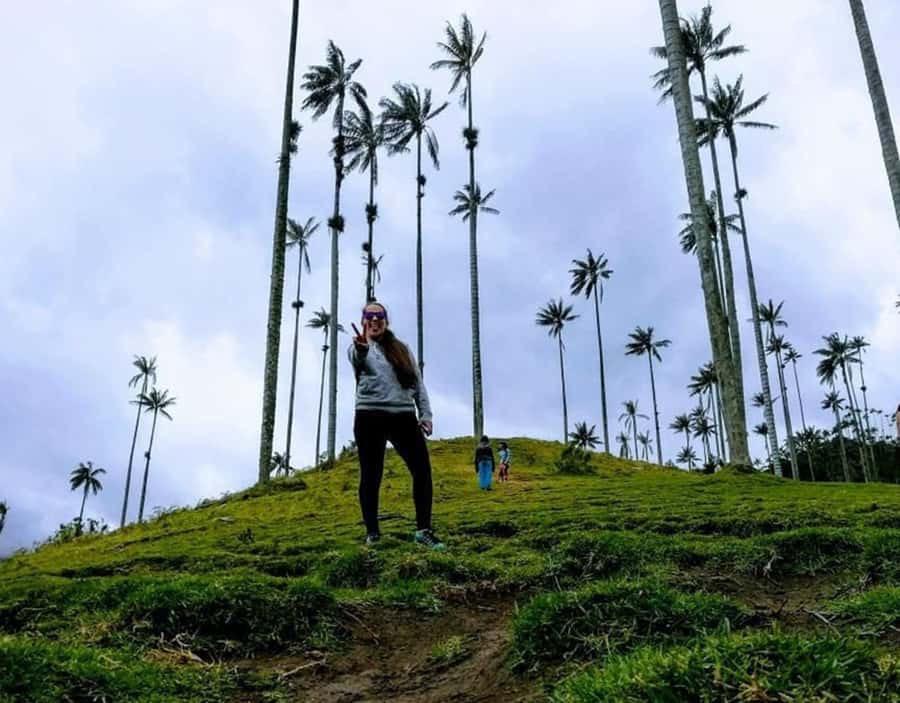 Salento/Pereira: Cocora Valley & Salento Hiking Private Tour - The main hike: long enough for magic, flexible enough for you