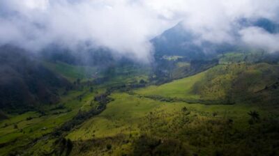 Salento/Pereira: Cocora Valley & Salento Hiking Private Tour - Entering Valle del Cocora and learning why the wax palms matter