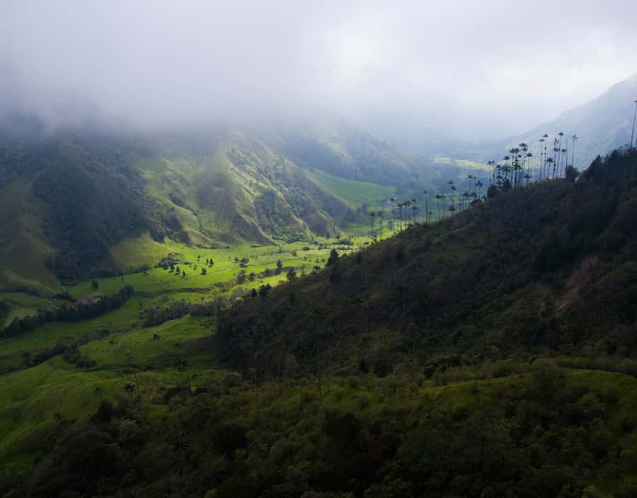 Salento/Pereira: Cocora Valley & Salento Hiking Private Tour - The traditional coffee-grower ride: a small break with real context