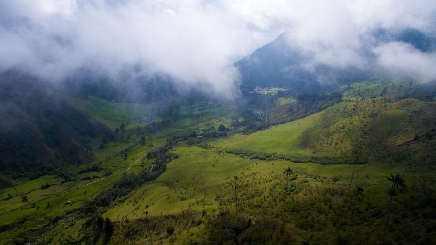 Salento/Pereira: Cocora Valley & Salento Hiking Private Tour - Should you book this Cocora Valley and Salento private tour?