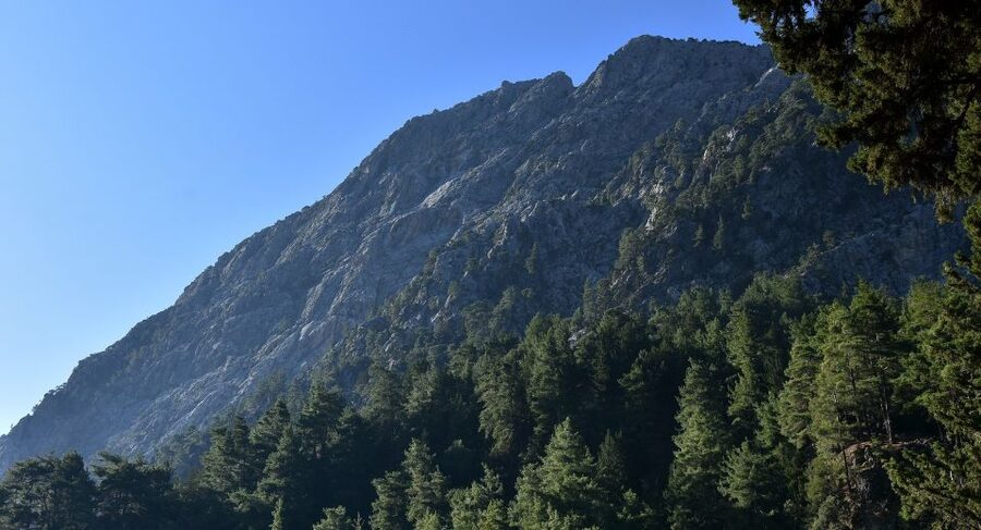 Samariá Gorge Hike: Day Excursion from Chania - The Real Tempo: How Fast Walkers Can Still Wait