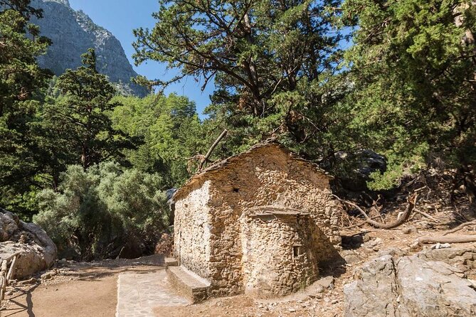 Samaria Gorge Hiking from Chania with Professional Hiking Guide - Logistics that affect comfort: crowds, group size, and bus motion