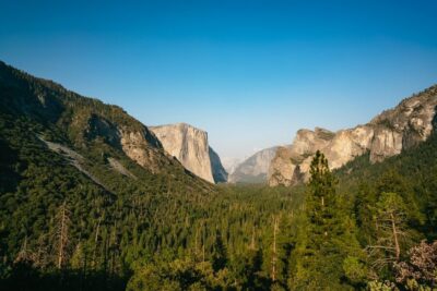 San Francisco: Day Trip to Yosemite with Giant Sequoias Hike - Tuolumne Grove Giant Sequoias hike: 2.5 miles round-trip with a 400-foot drop