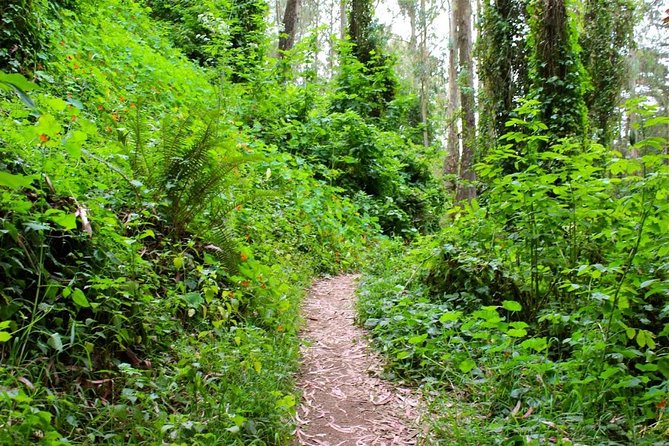San Francisco Urban Hike: Castro and Twin Peaks - How hard is this hike? Real talk on distance, stairs, and weather