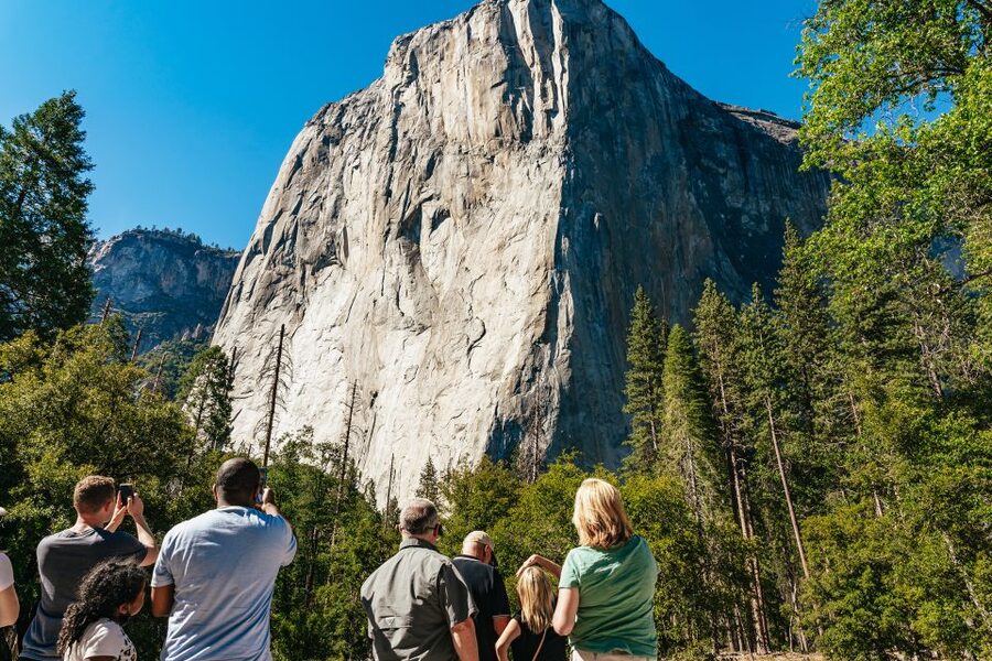 San Francisco: Yosemite National Park & Giant Sequoias Hike - Should you book this Yosemite and Giant Sequoias day trip?