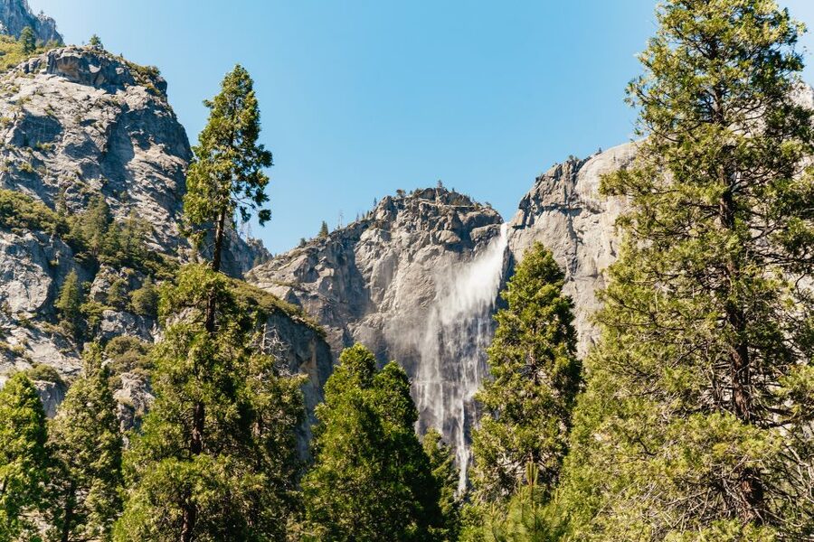 San Francisco: Yosemite National Park & Giant Sequoias Hike - Giant Sequoias hike: the 1.6-mile walk you’ll remember