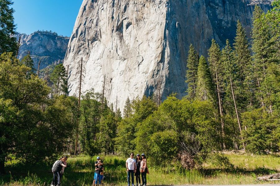San Francisco: Yosemite National Park & Giant Sequoias Hike - Who this trip is best for (and who should choose differently)