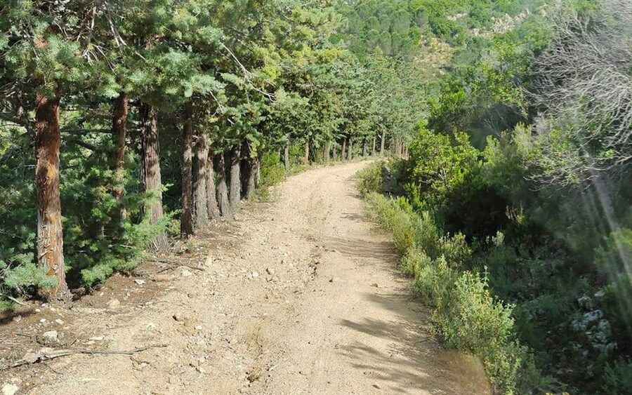 San Teodoro: Rio Pitrisconi Jeep and Hiking Tour - Key highlights at a glance