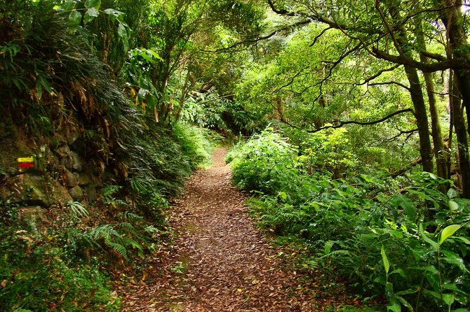 Sanguinho Hike from Ponta Delgada - Price and what you actually get for $77.89