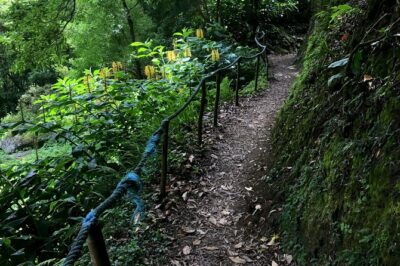 Sanguinho Hike from Ponta Delgada - Getting there: 9:00 pickup and minivan comfort