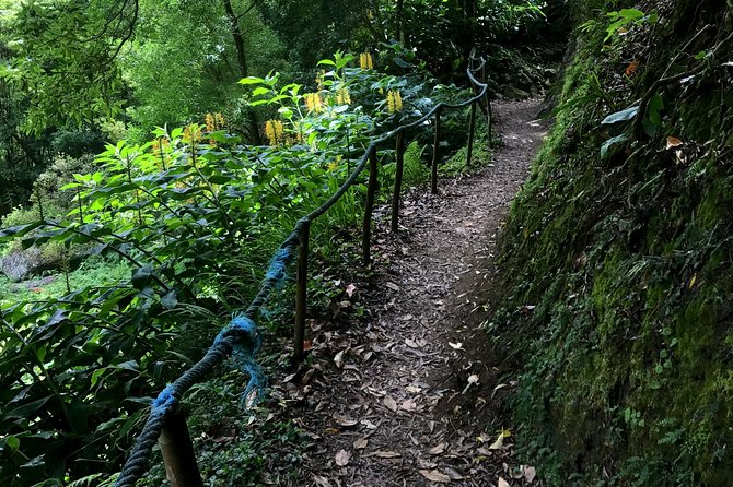 Sanguinho Hike from Ponta Delgada - Getting there: 9:00 pickup and minivan comfort