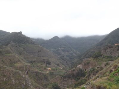 Santa Cruz de Tenerife: 2-Hour Hiking Tour in Anaga Forest - What the 2.5-hour hike feels like for first-timers
