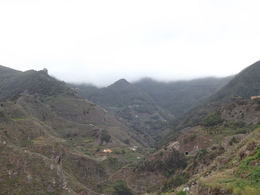 Santa Cruz de Tenerife: 2-Hour Hiking Tour in Anaga Forest - What the 2.5-hour hike feels like for first-timers