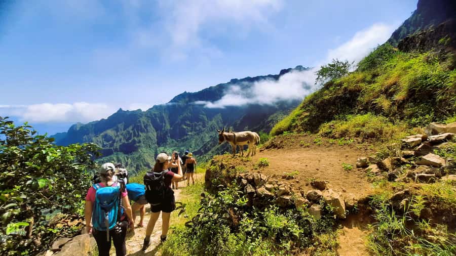 Santo Antão: Hiking Cova Volcano Crater to Ribeira Paúl - The rum distillery and Grogue tasting: more than a quick stop