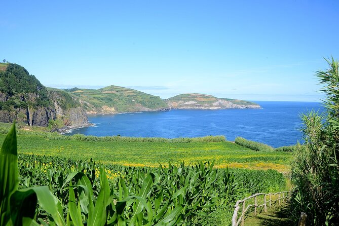 São Miguel Azores: Hike and Snorkeling into the wild with a local - The Start Point: Ponta Delgada Pickup and a Real Local Rhythm