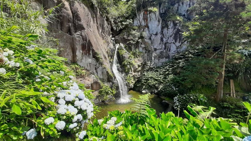 São Miguel Azores: Hike and Snorkeling with a local - Key highlights worth planning around