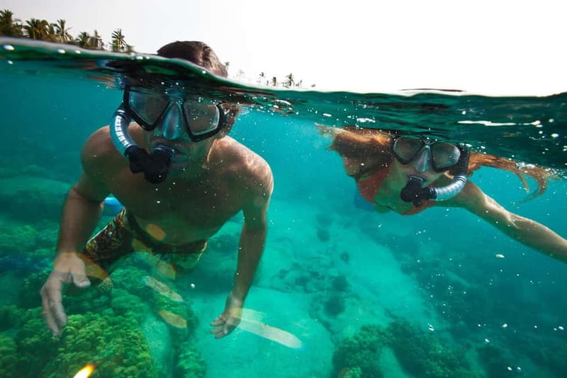 São Miguel Azores: Hike and Snorkeling with a local - The forest portion: walking where the tarmac ends
