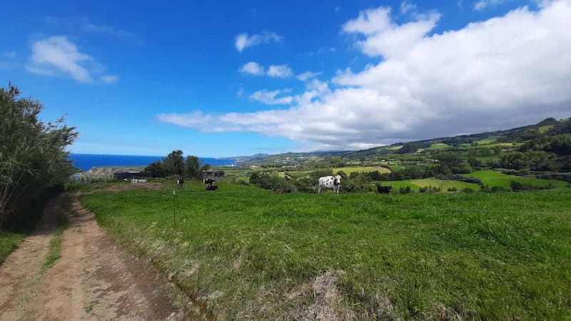 São Miguel Azores: Hike and Snorkeling with a local - Protected area talk: why the guide’s facts make the hike better