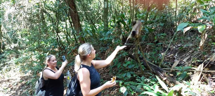 São Paulo: Atlantic Forest Hike in Jaraguá Park with Picnic - Two 360-degree lookouts: where your legs finally get rewarded