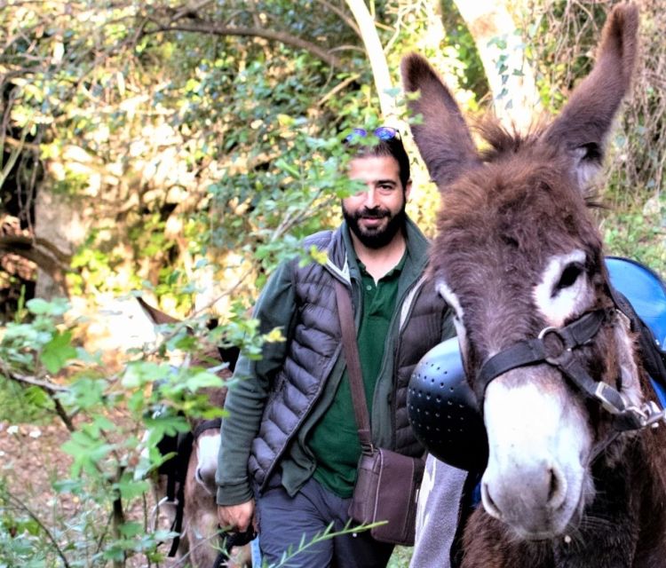 Sassari: hiking with donkeys in Cargeghe and aperitif - The Aperitivo: Cold Cuts, Cheeses, Carasau, and the Social Payoff