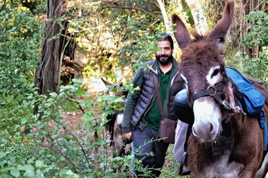 Sassari: hiking with donkeys in Cargeghe and aperitif - The Walk Starts With Santa Maria e Contra Church Time Travel