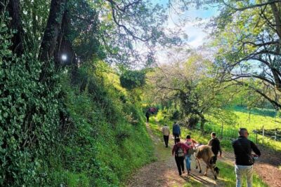 Sassari: hiking with donkeys in Cargeghe and aperitif - Meeting Point and Getting Ready (So You Don’t Waste Minutes)