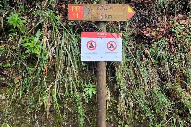 Scenic Hiking and Rum Tasting Experience - Porto da Cruz rum factory: a short sightseeing break with a tasty purpose