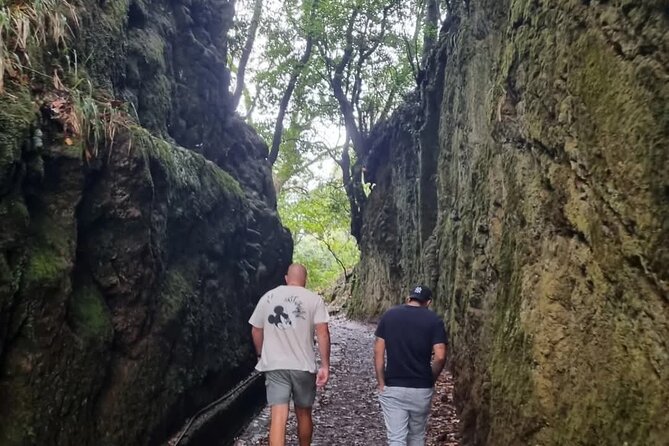 Scenic Hiking and Rum Tasting Experience - Price and value: what $45.78 really buys you