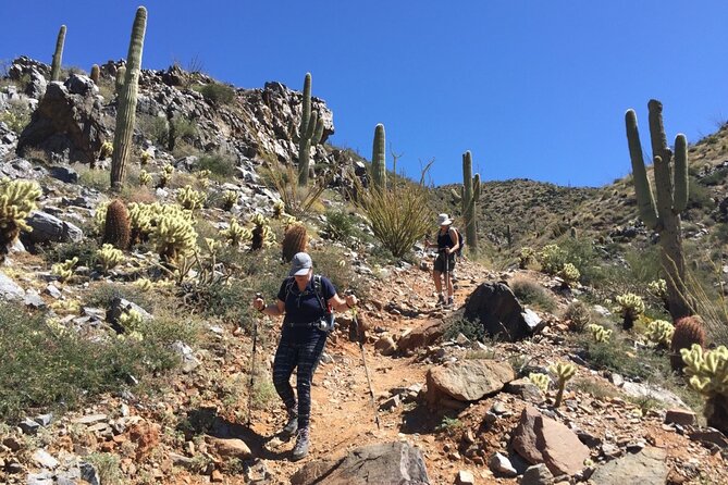 Scottsdale Desert Classic Guided Hiking Adventure - Quick Hit Key Points