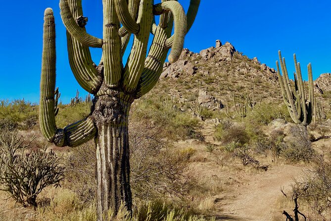 Scottsdale Desert Classic Guided Hiking Adventure - Stop-by-Stop: What Each Named Location Adds to the Hike