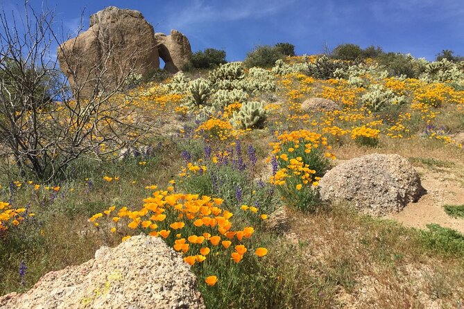 Scottsdale Desert Classic Guided Hiking Adventure - The Guides: Safety, Desert Talk, and Even the Photo Tips