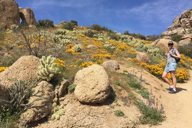 Scottsdale Desert Classic Guided Hiking Adventure - Desert Comfort Tips That Make This Hike Feel Better