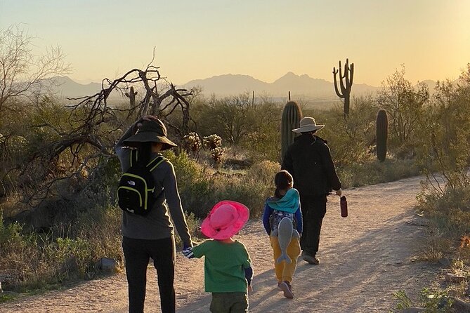 Scottsdale Desert Classic Guided Hiking Adventure - Weather and Timing: The One Thing That Can Change Your Day