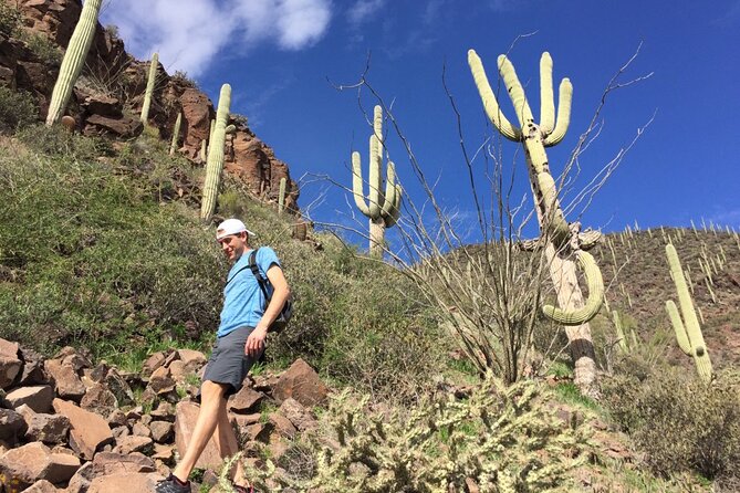 Scottsdale Desert Classic Guided Hiking Adventure - What the 3-Hour Loop Really Means on the Ground
