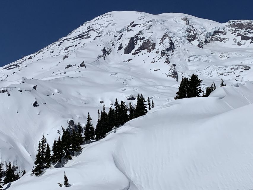 Seattle: Mt. Rainier Park Guided Full-Day Tour - Getting There: Pickup Point, Timeframe, and Your Comfort Level