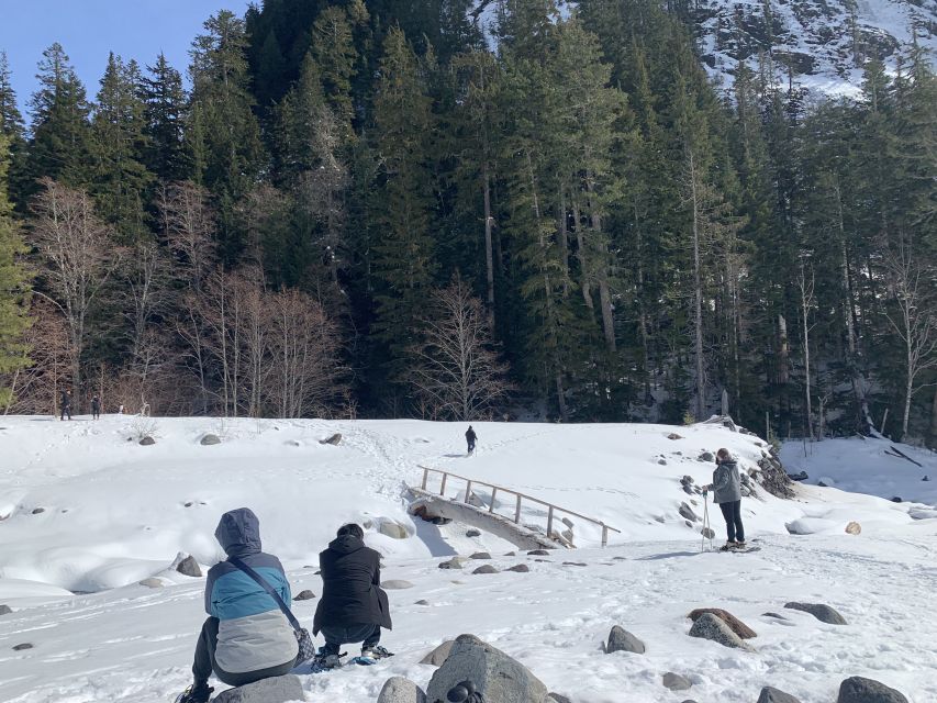 Seattle: Mt. Rainier Park Guided Full-Day Tour - Short Hikes With Real Weather: Snow, Traction, and Safety