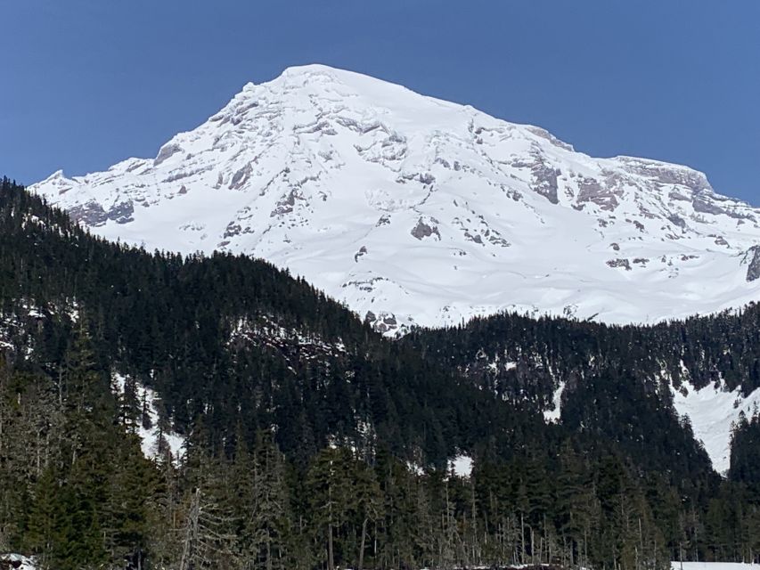 Seattle: Mt. Rainier Park Guided Full-Day Tour - Waterfalls, Forest Scale, and the Stuff You Remember Later